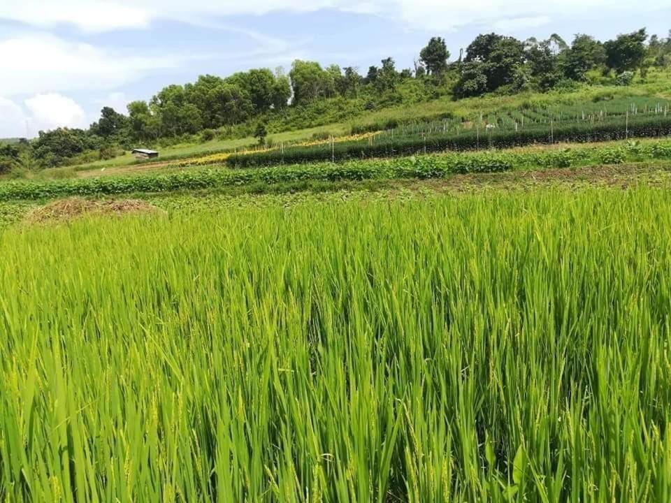 Hotel Shwe Nann Htike Pyin Oo Lwin Exteriör bild