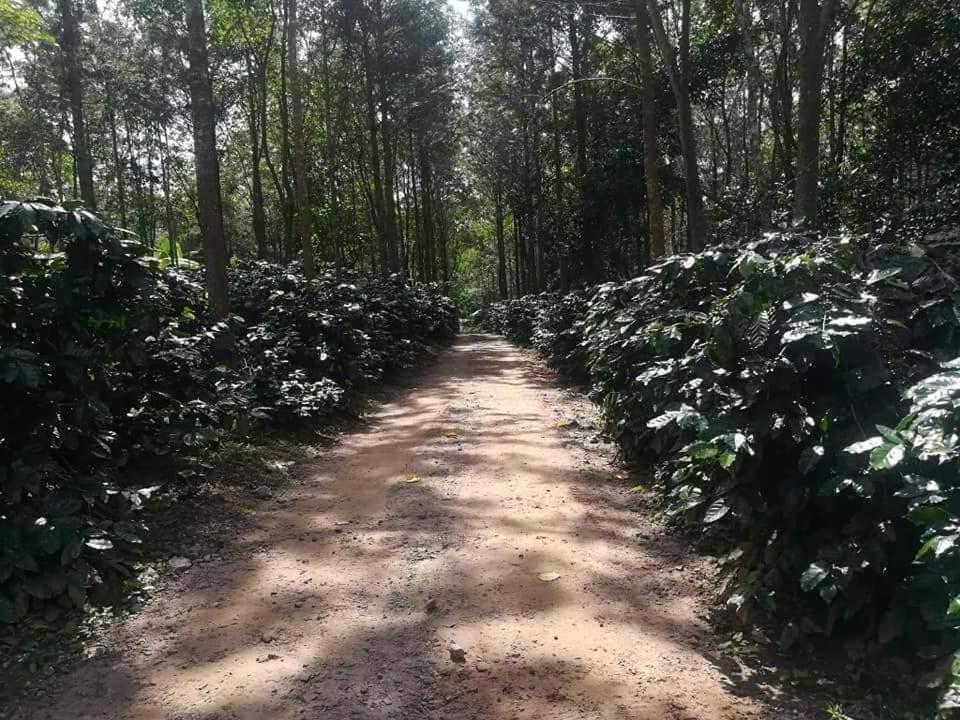 Hotel Shwe Nann Htike Pyin Oo Lwin Exteriör bild