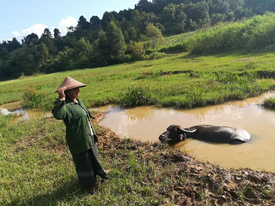 Hotel Shwe Nann Htike Pyin Oo Lwin Exteriör bild