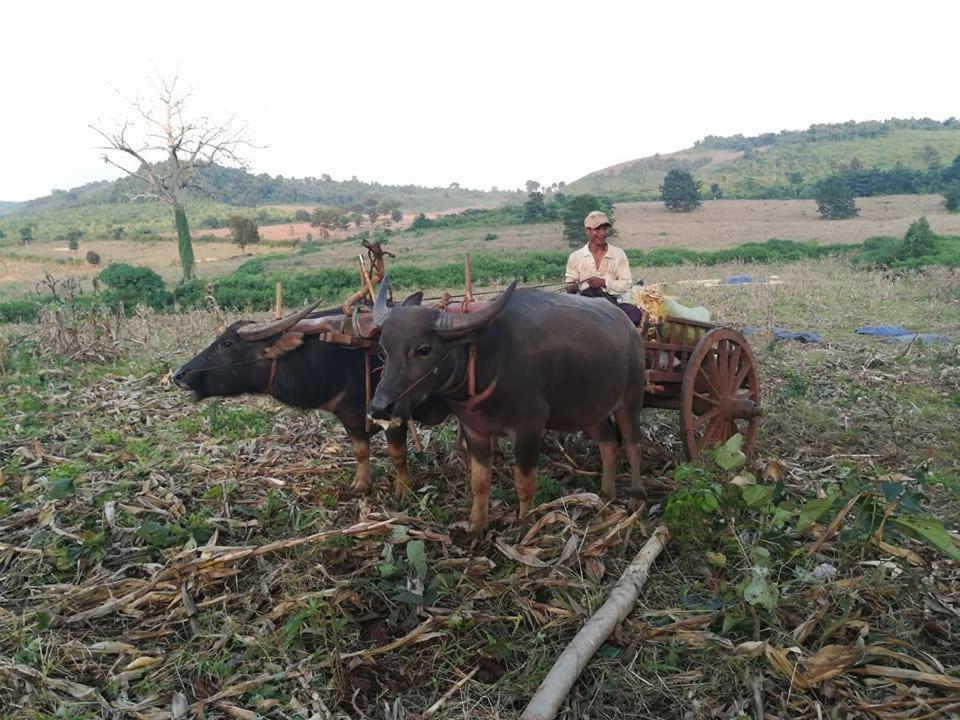 Hotel Shwe Nann Htike Pyin Oo Lwin Exteriör bild
